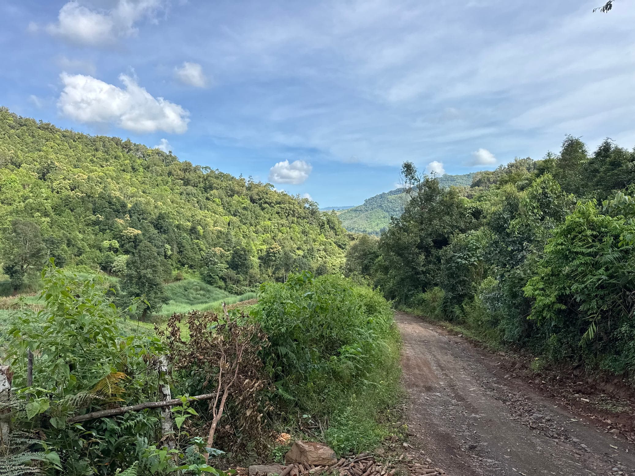 Mae Sa to Mae Chaem - The Long Way — photo 61