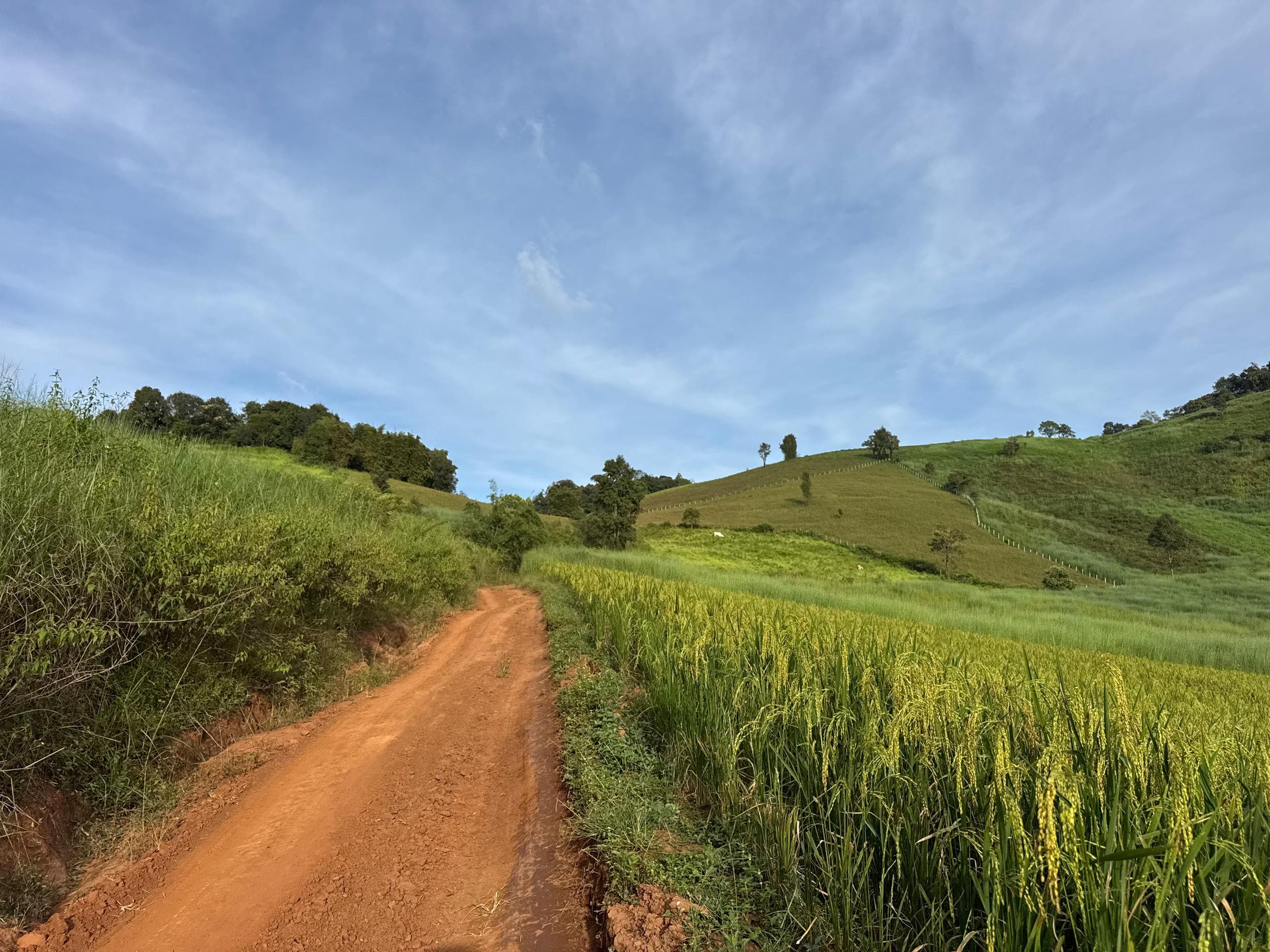 Mae Sa to Mae Chaem - The Long Way — photo 63