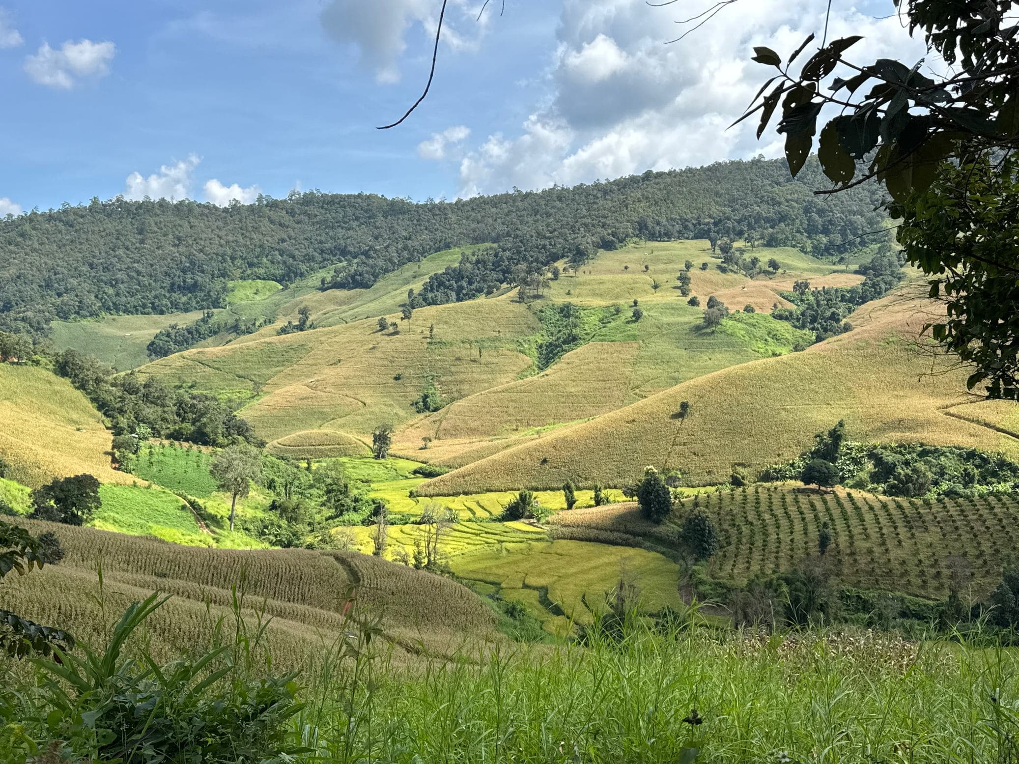 Mae Sa to Mae Chaem - The Long Way — photo 65