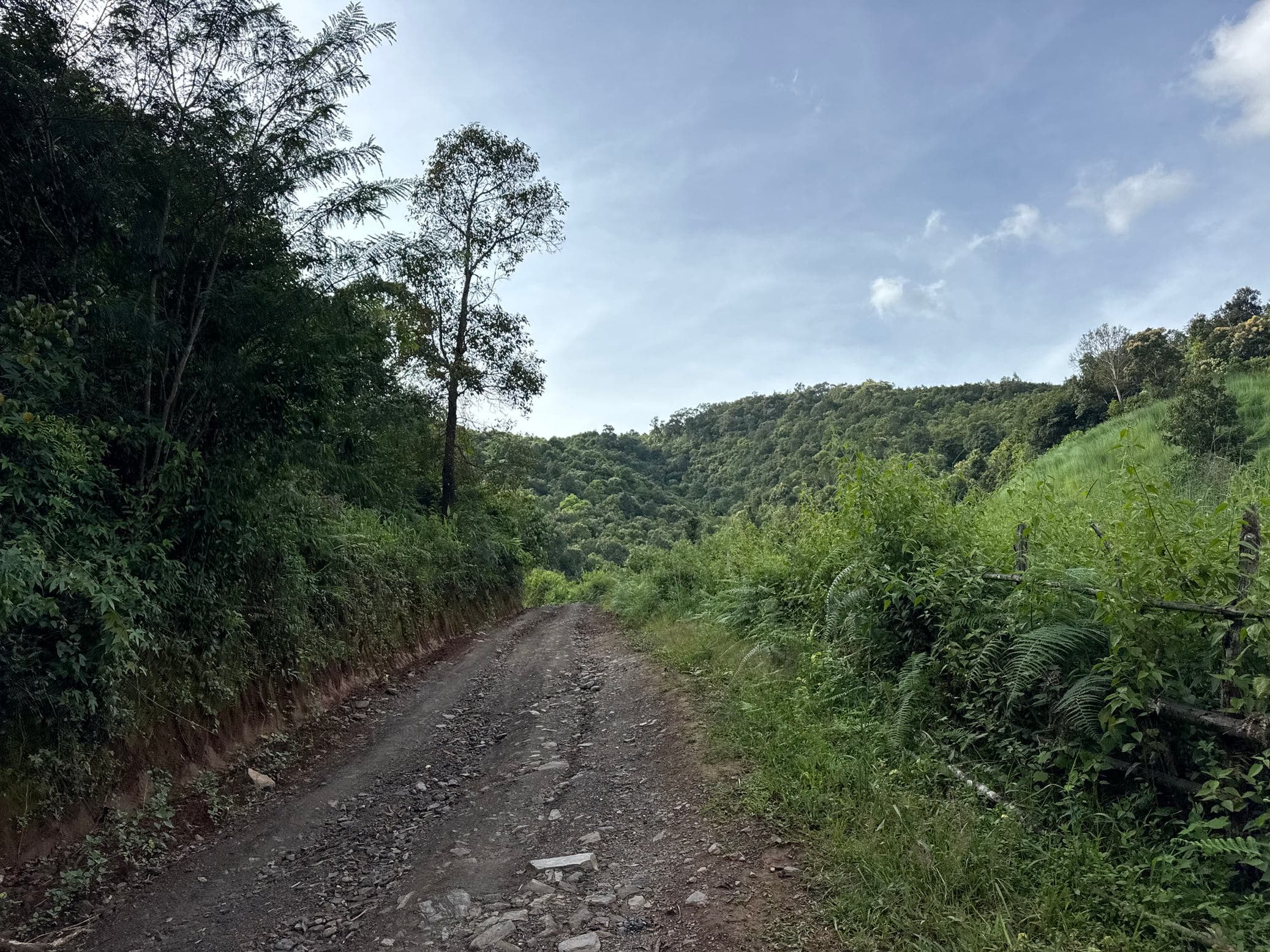 Mae Sa to Mae Chaem - The Long Way — photo 66