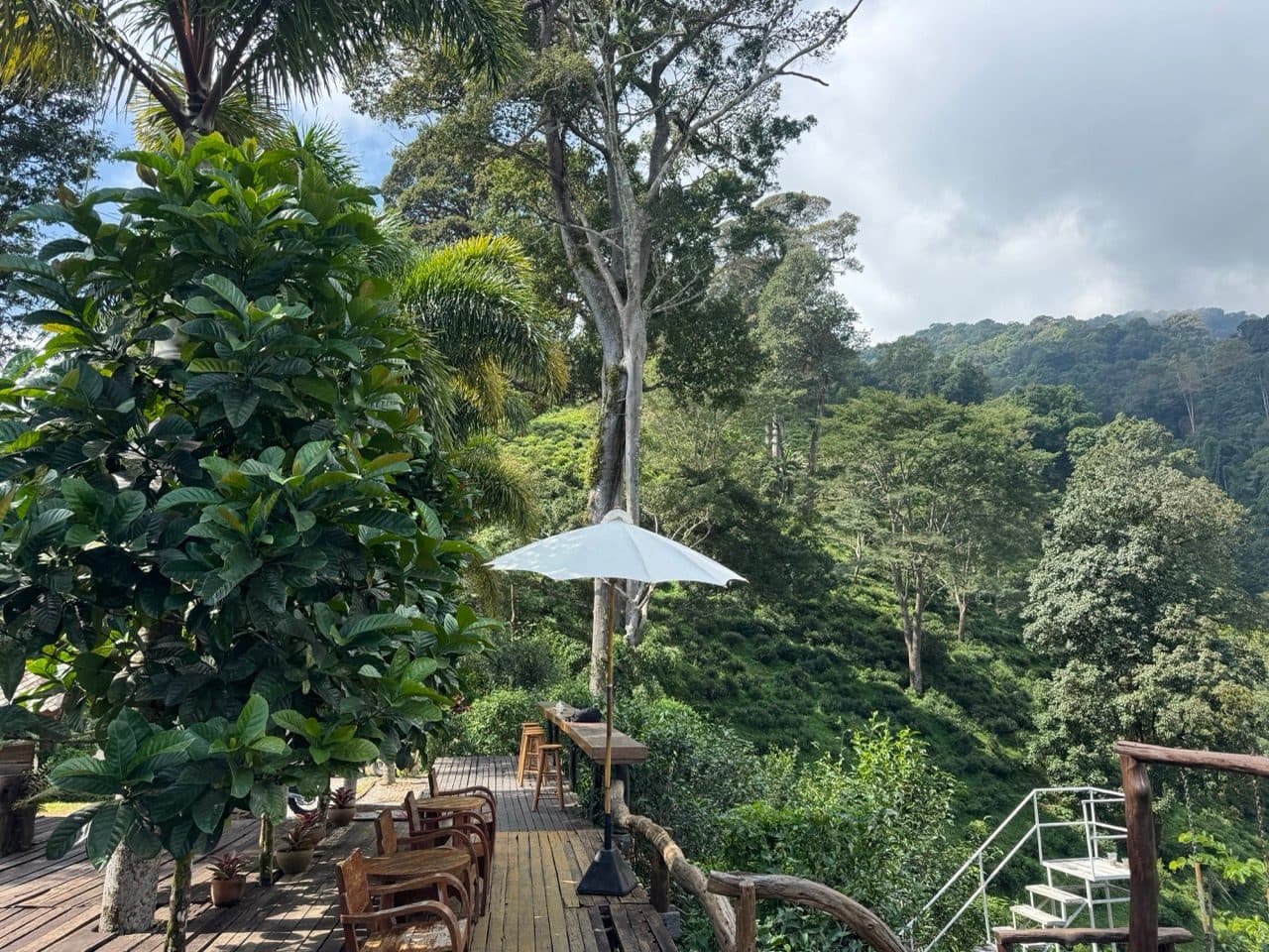 Deck seating looking down over the tea rows.