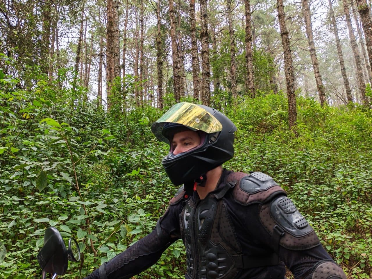 Gold visor, body armour, pine forest.