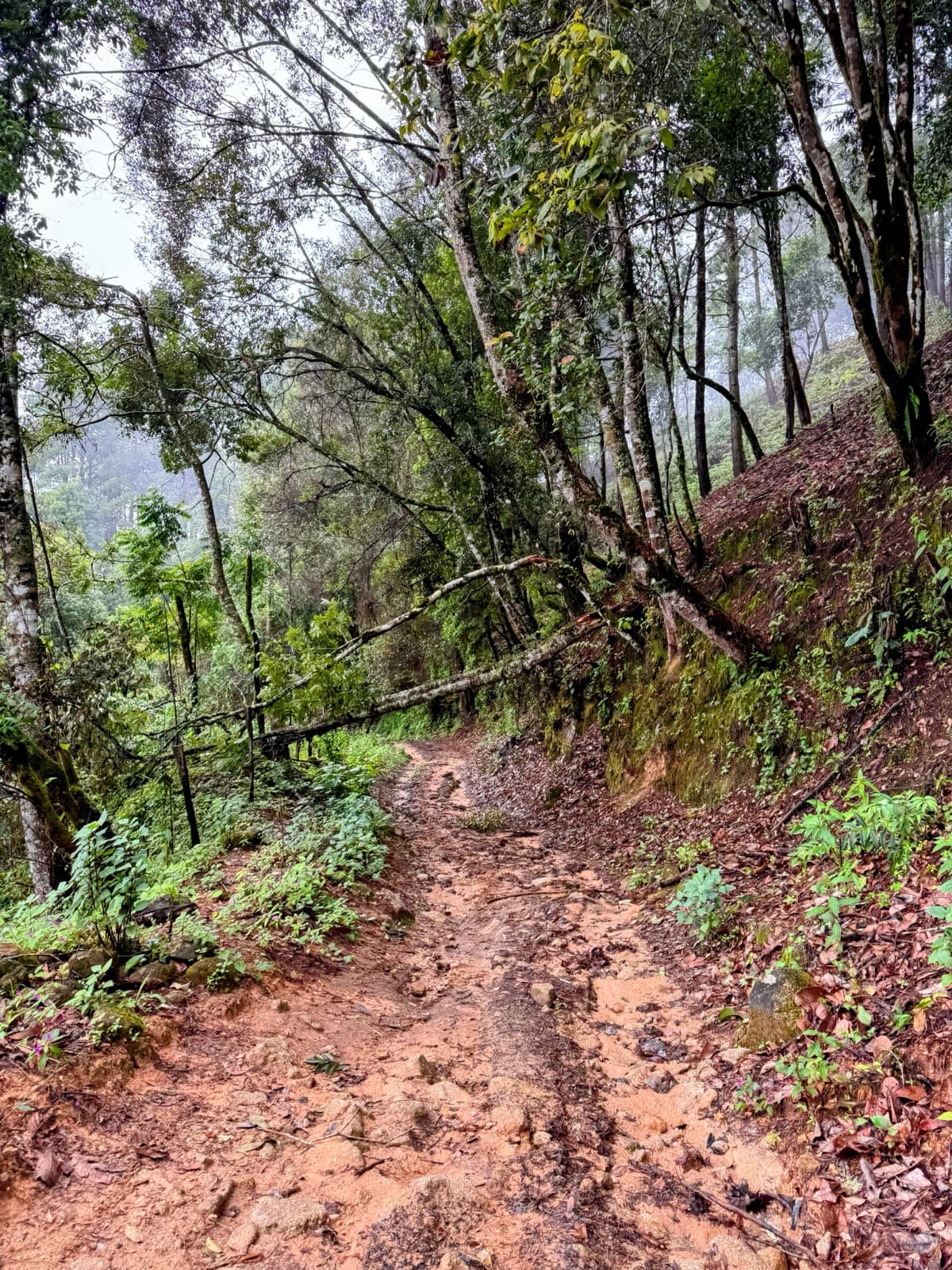 Same climb, on foot for ten seconds to let the lens clear.