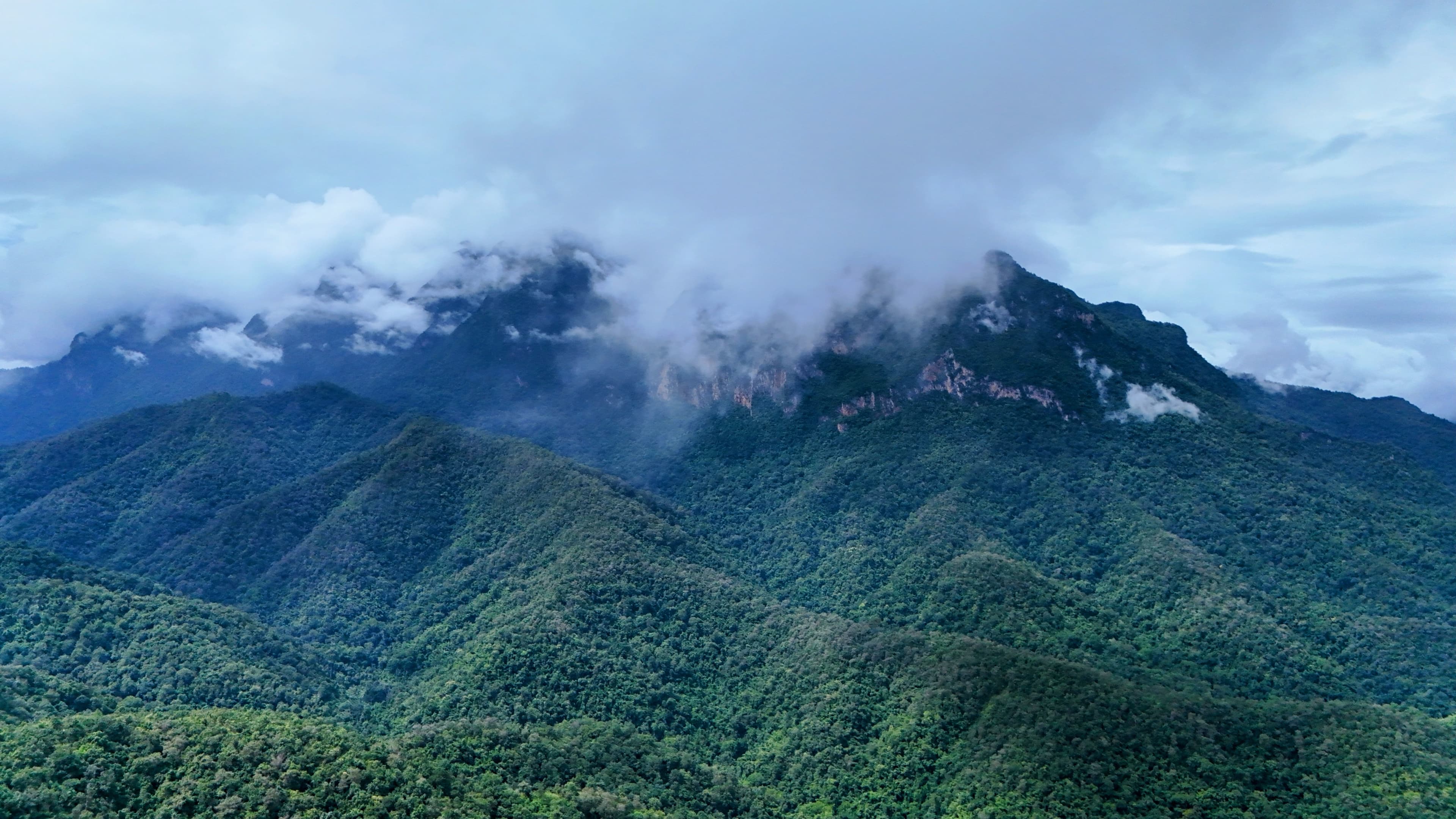 Doi Luang Chiang Dao breaking through the weather. The reward for showing up in the green season.