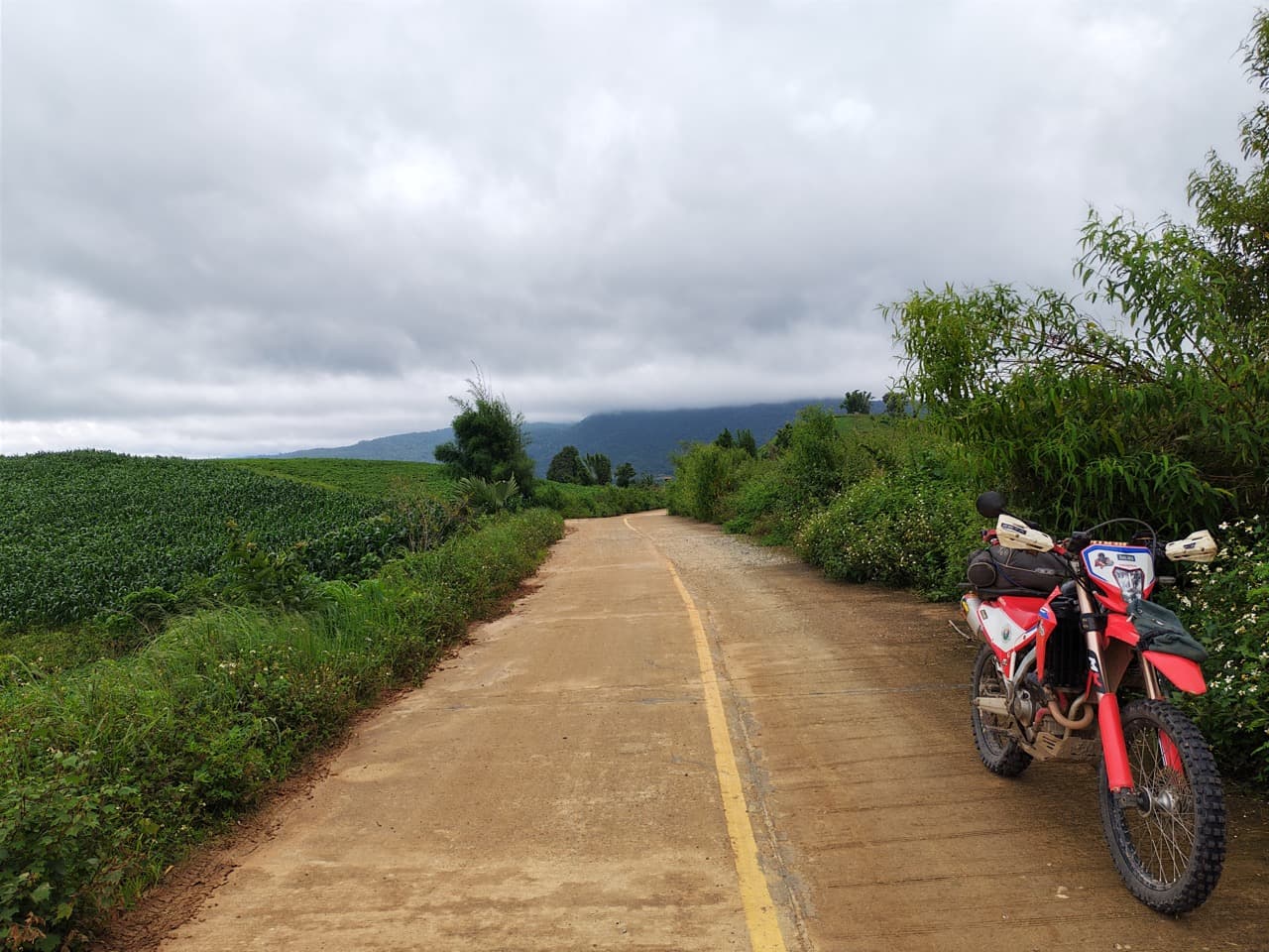 Someone painted a centre line on a farm road in the middle of nowhere. It lasts about a kilometre.
