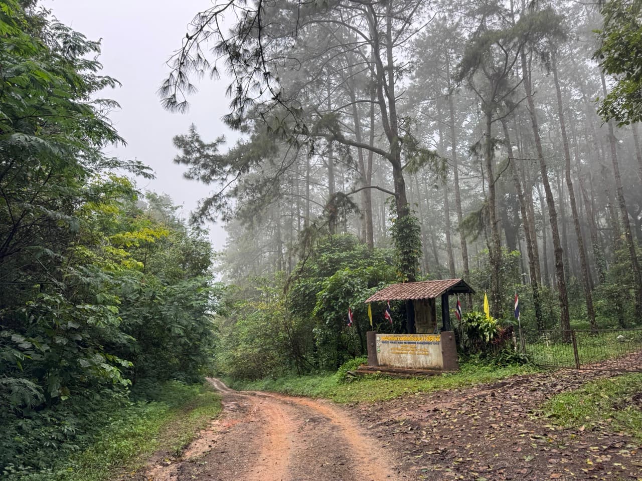 Forest protection unit at the high point, in cloud. Flags up, nobody around.