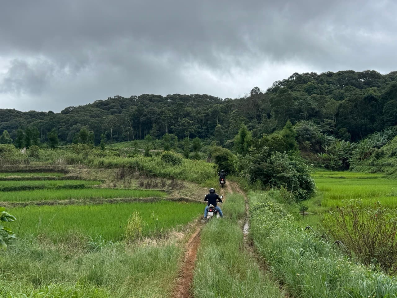 Two-rut singletrack straight through somebody’s rice. The best hundred metres of the day.