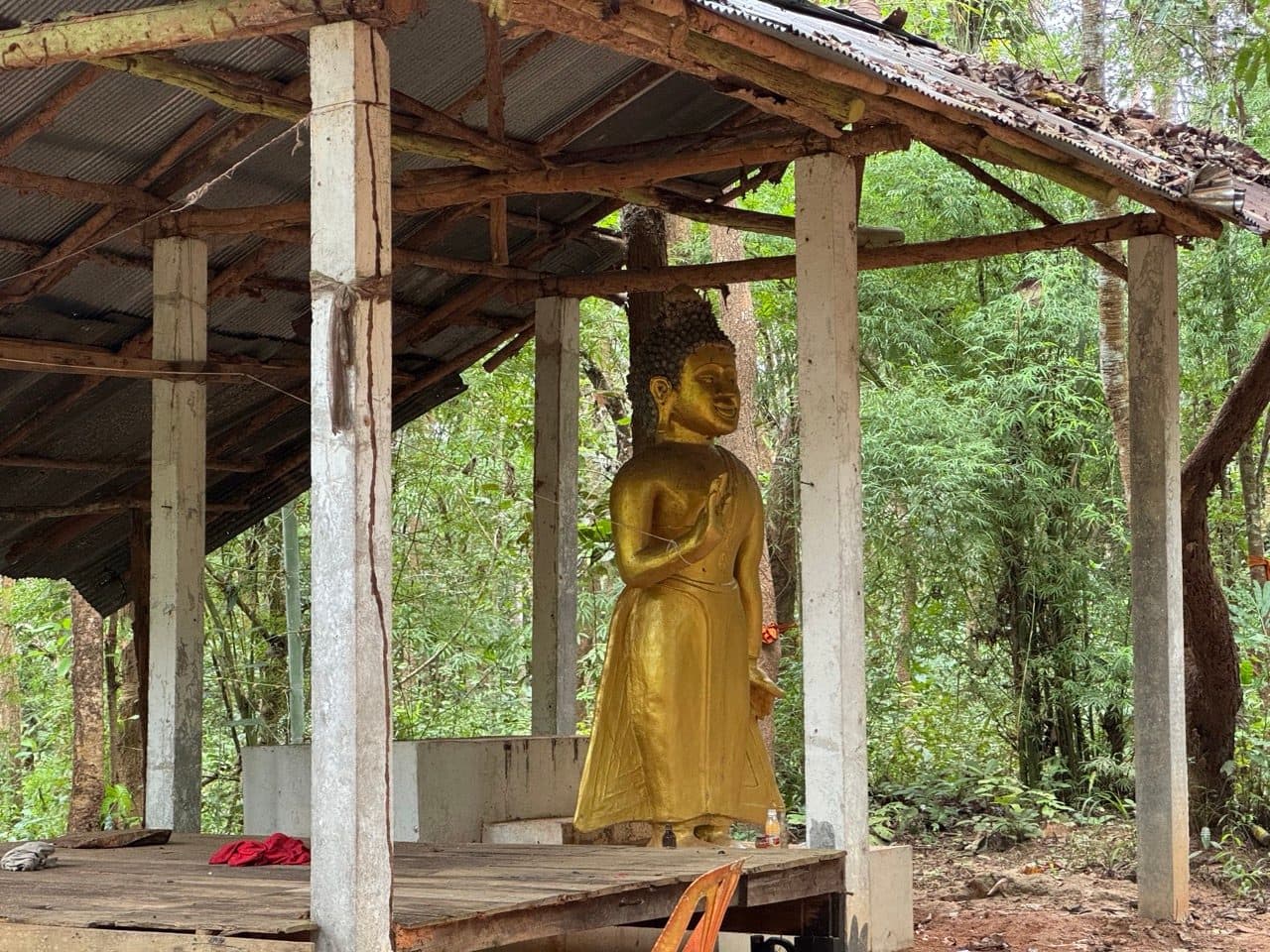 Gilded Buddha under a tin roof, a few kilometres into the forest