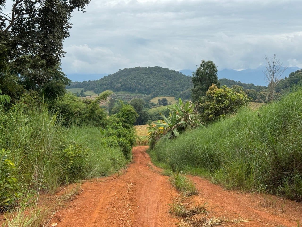 The track drops towards the hills under a flat grey sky