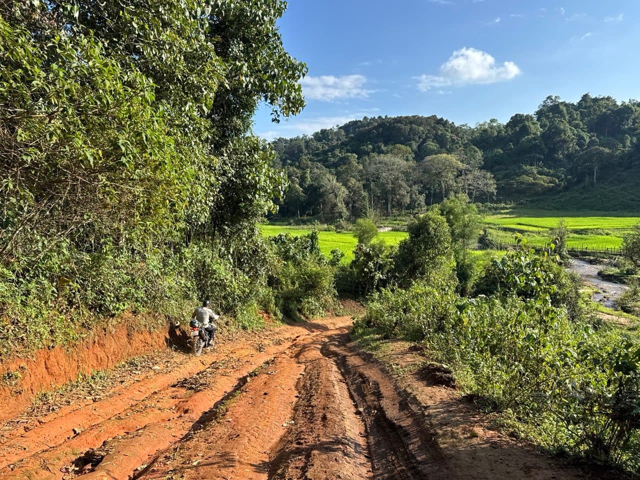 The track drops into paddies at the bottom of the valley.
