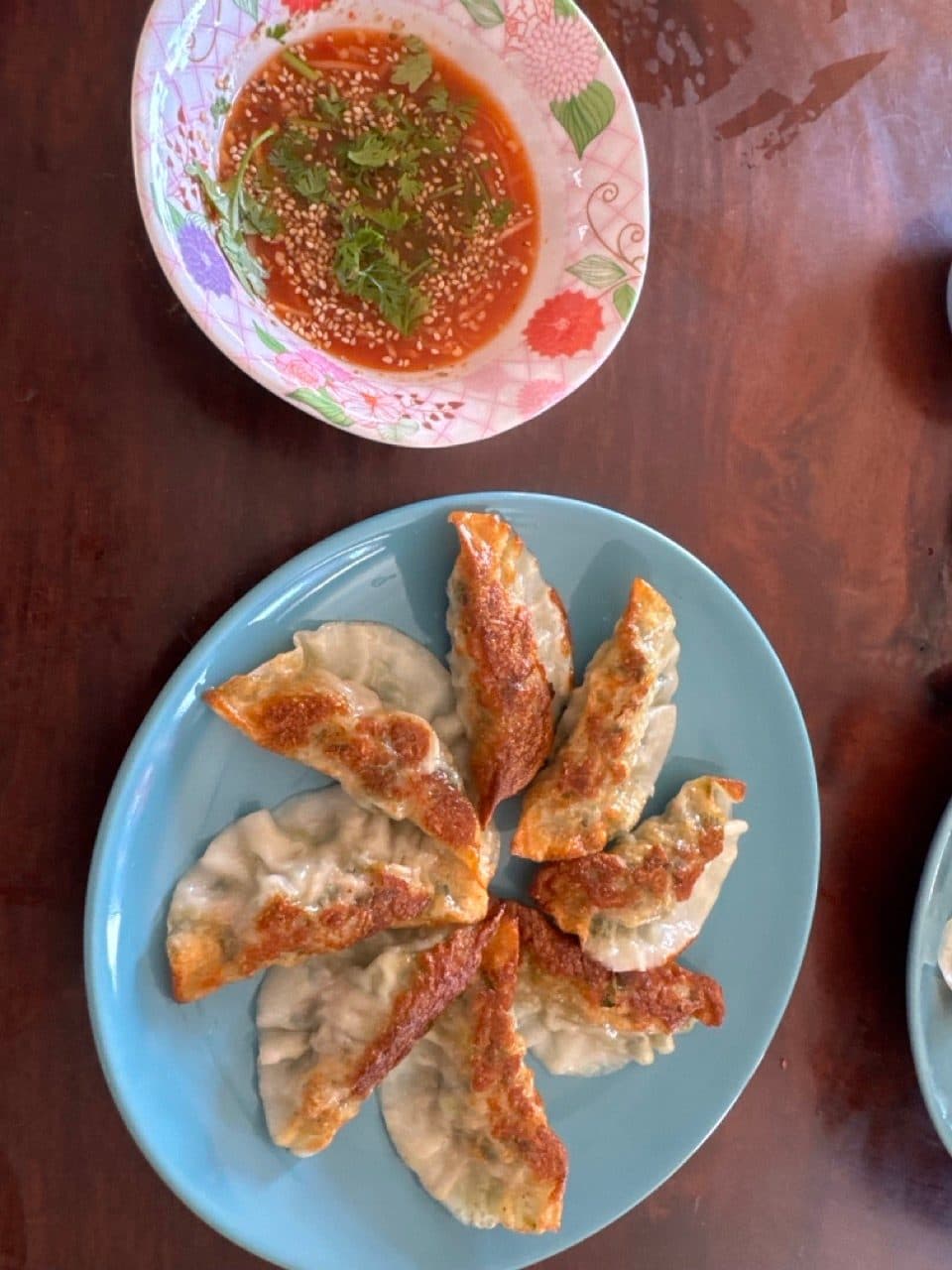 Yunnan style fried dumplings.