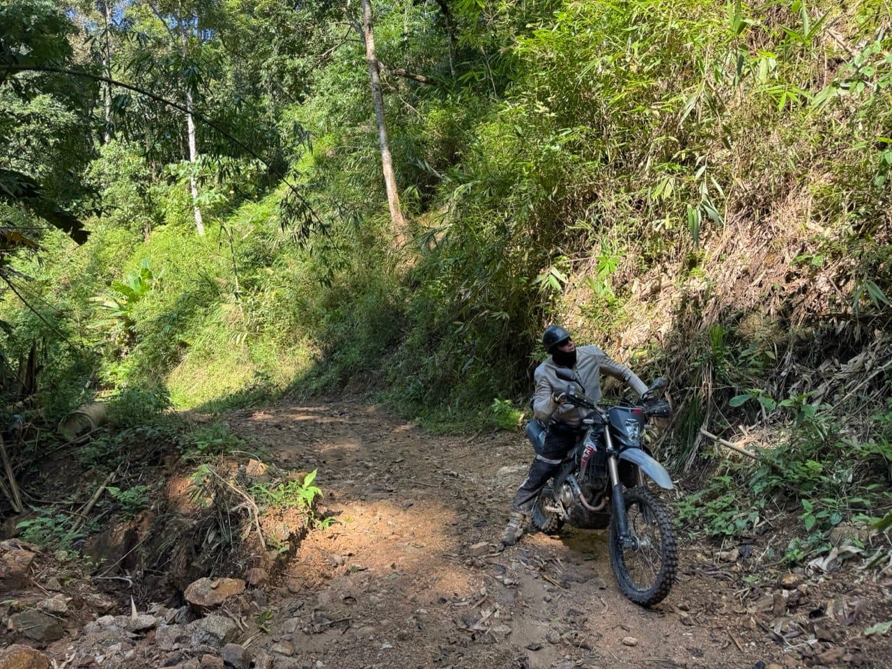 Picking a line down a rocky section in the bamboo.