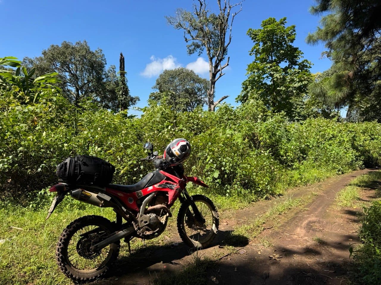 The 250L on the ridgeline track.