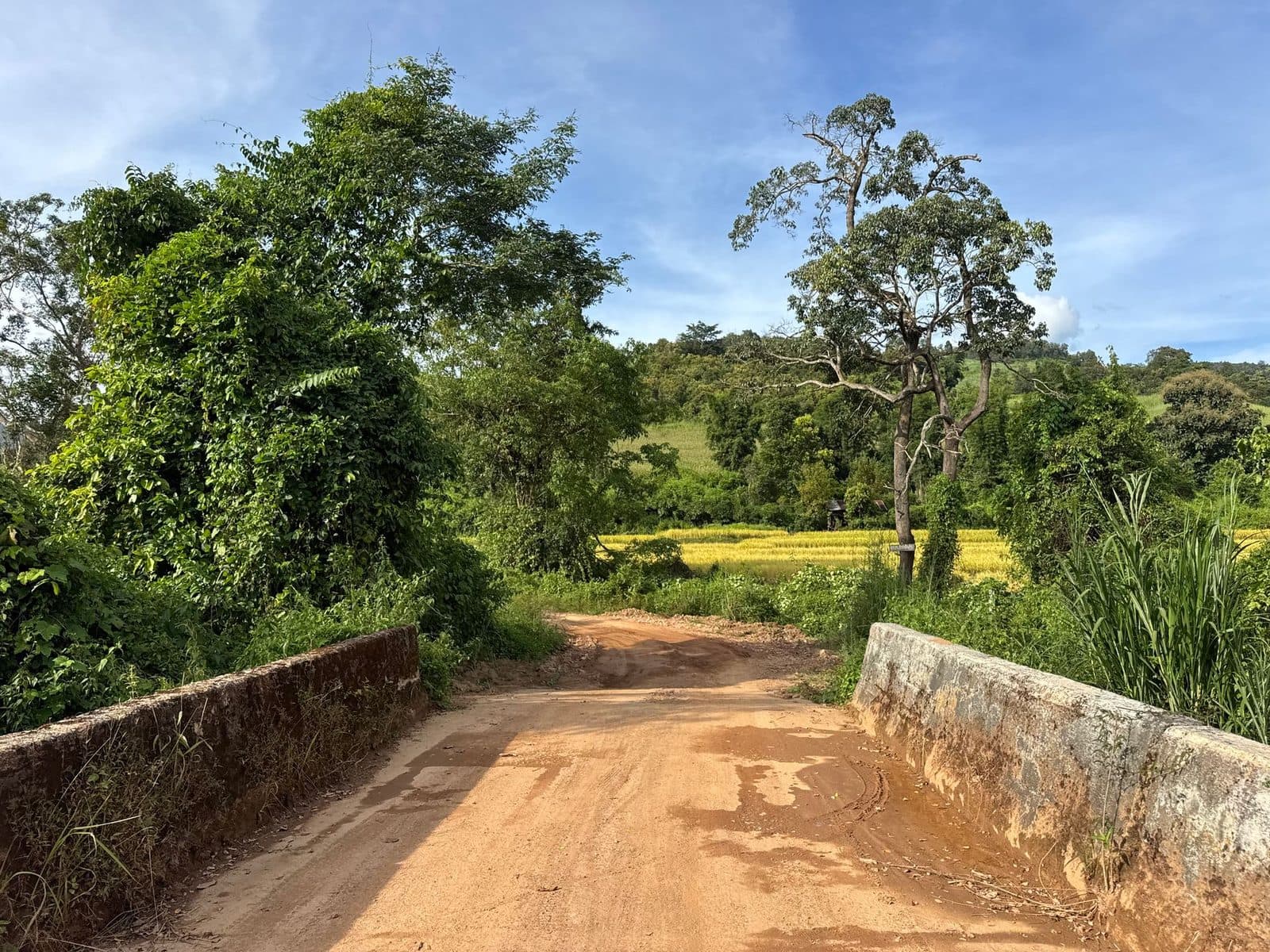 A concrete bridge, which after the timber ones feels like infrastructure.