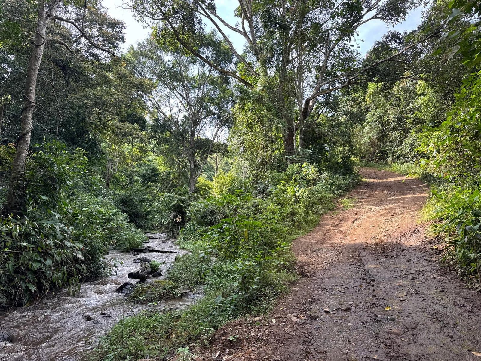 One of several live stream crossings. None of them deep, all of them slick.