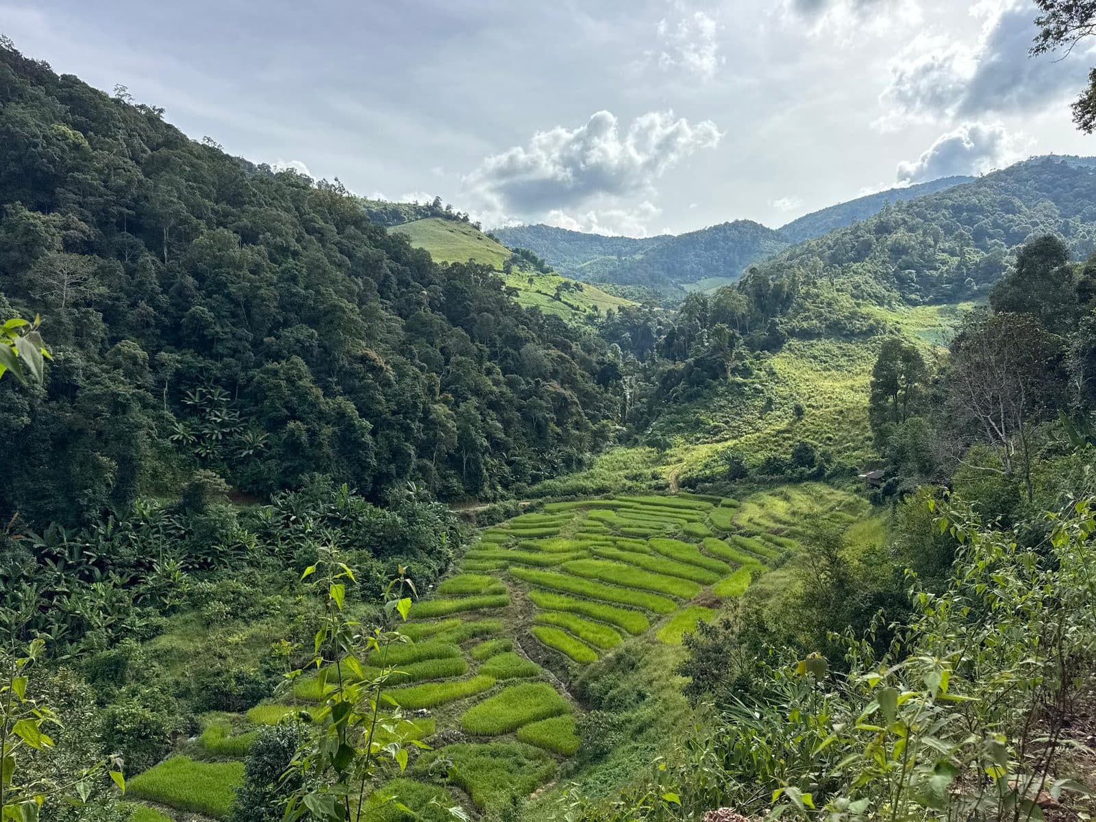 Terraces stacked up the far side of the valley.