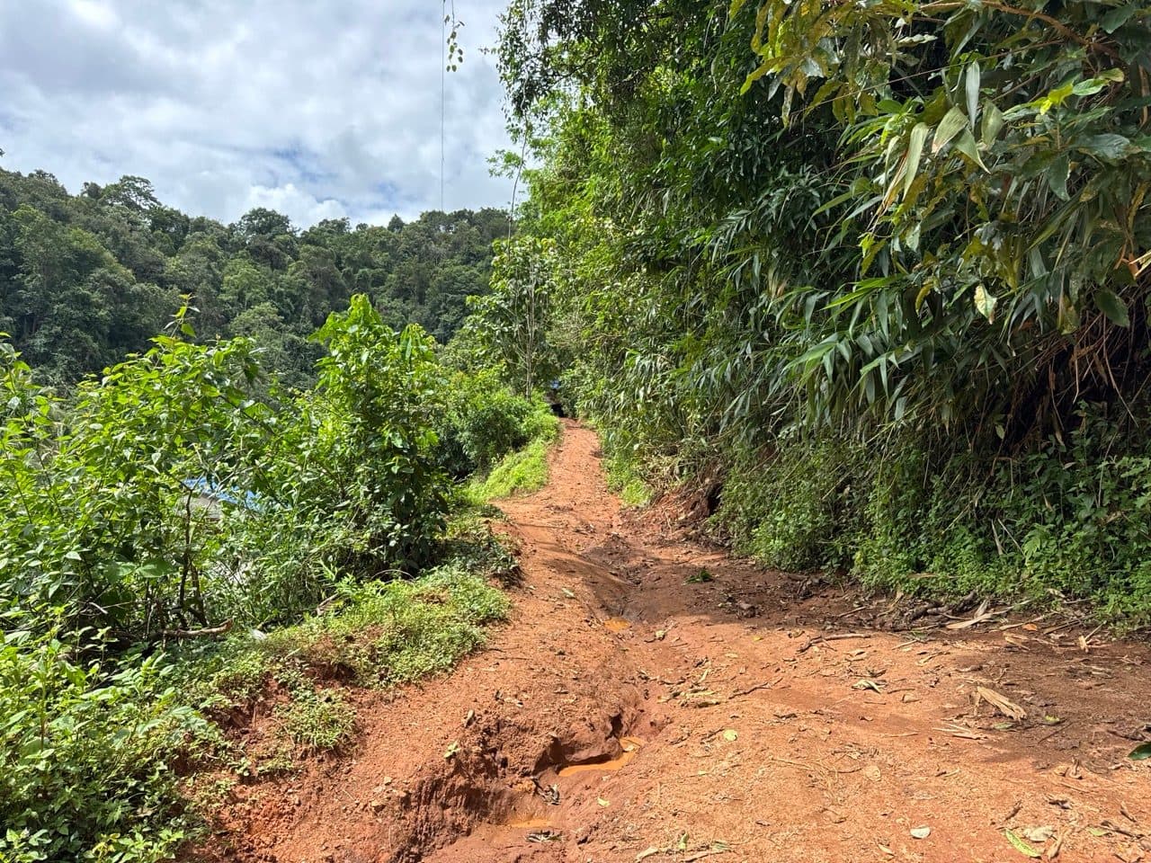 An eroded rut cut down the middle of the descent.