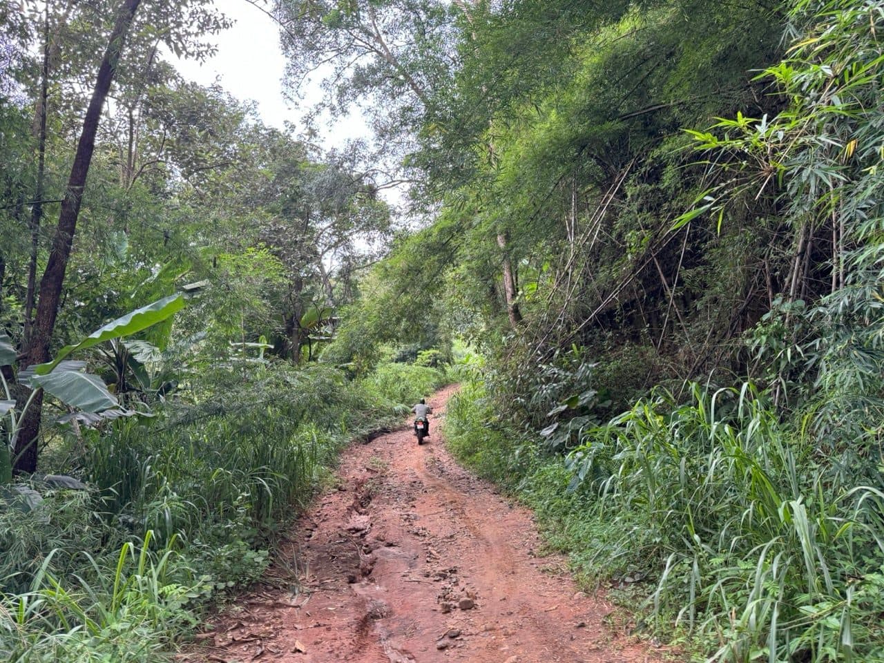 Red clay two-track heading up out of the valley
