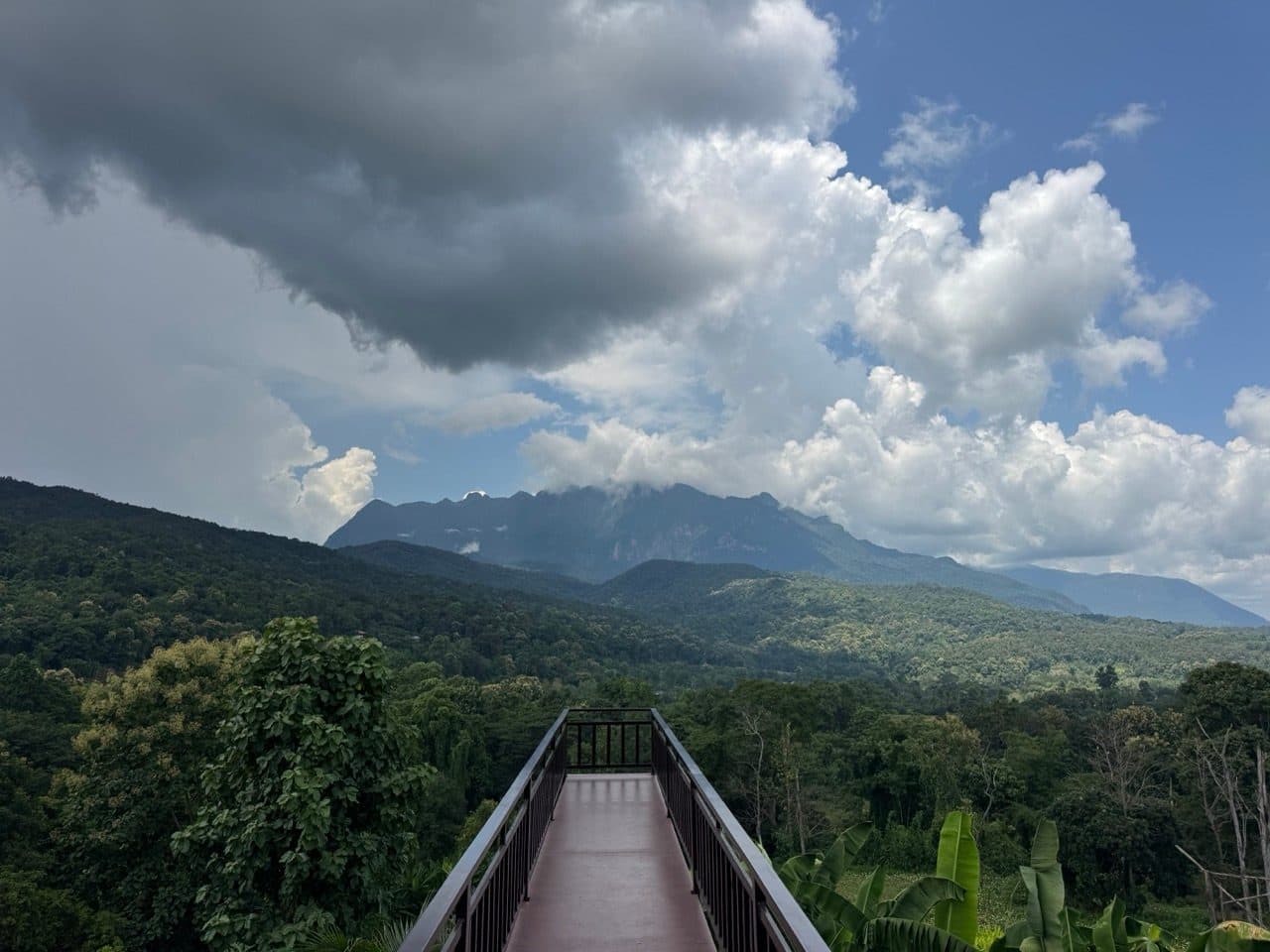 The skywalk deck at Ma Doo Doi pointed at Doi Luang Chiang Dao