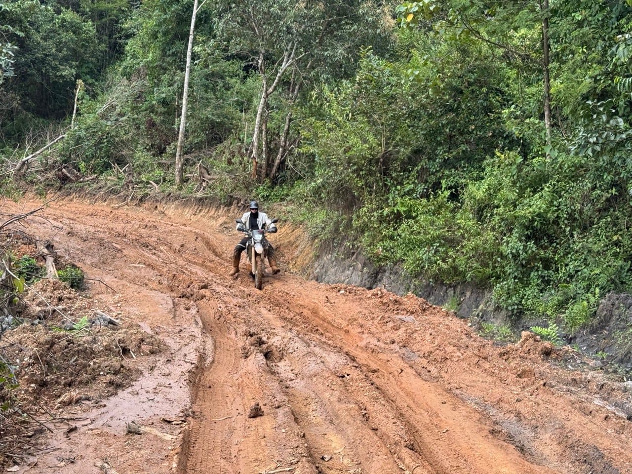 Riding the fresh cutting.