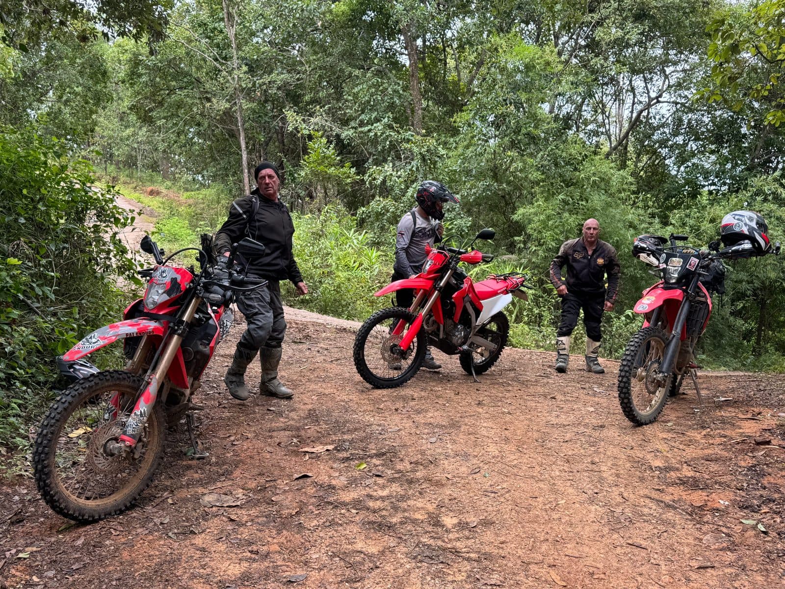 Bikes at the trailhead, red dirt and wet forest. Half past ten and already warm.