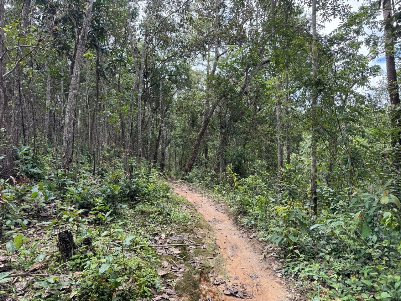 Dry orange singletrack before the surface turned