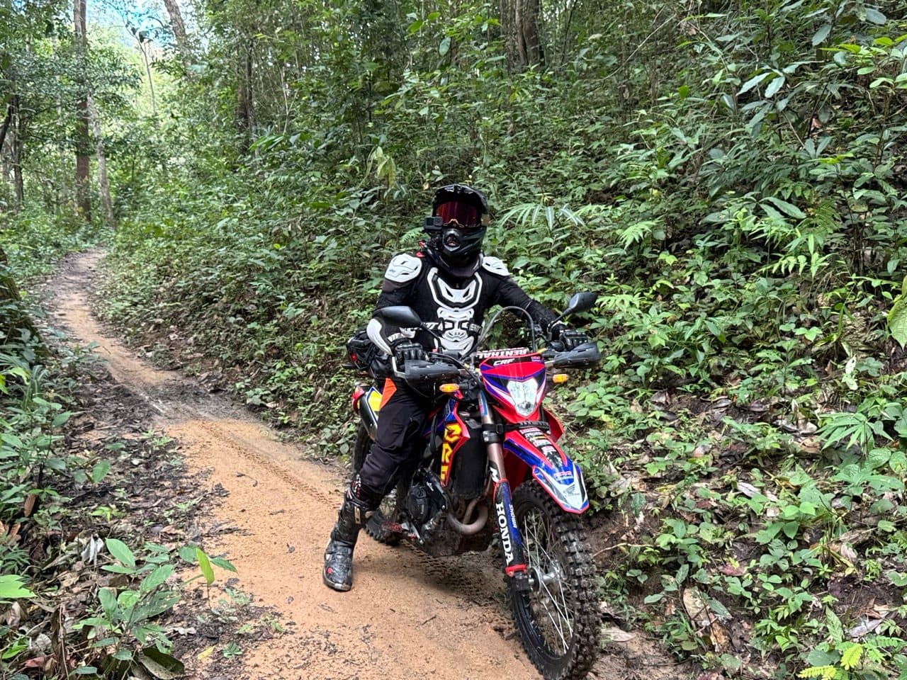 One of the CRF300Ls on the clay climb
