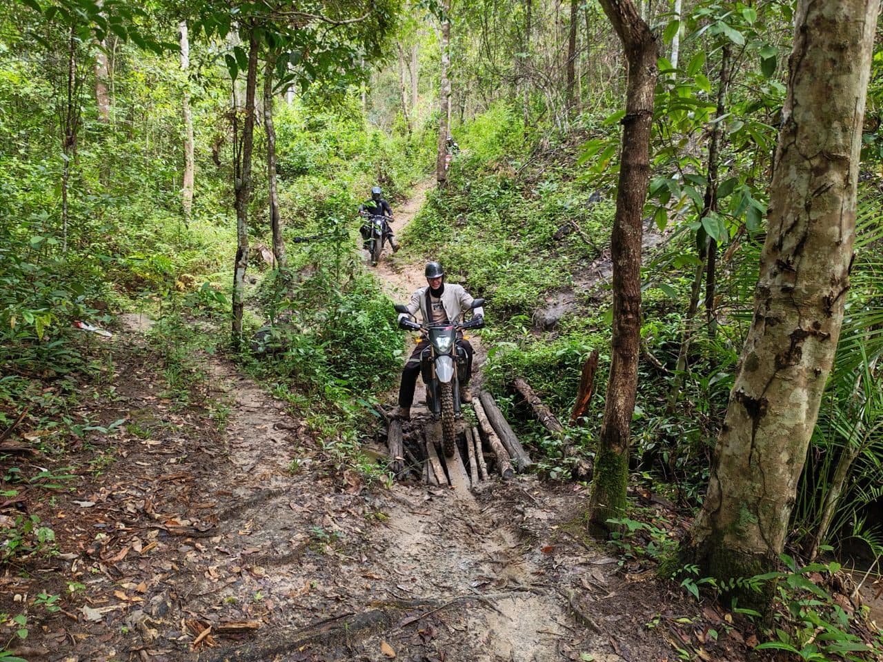 Picking a line across the logs on the CRF250L