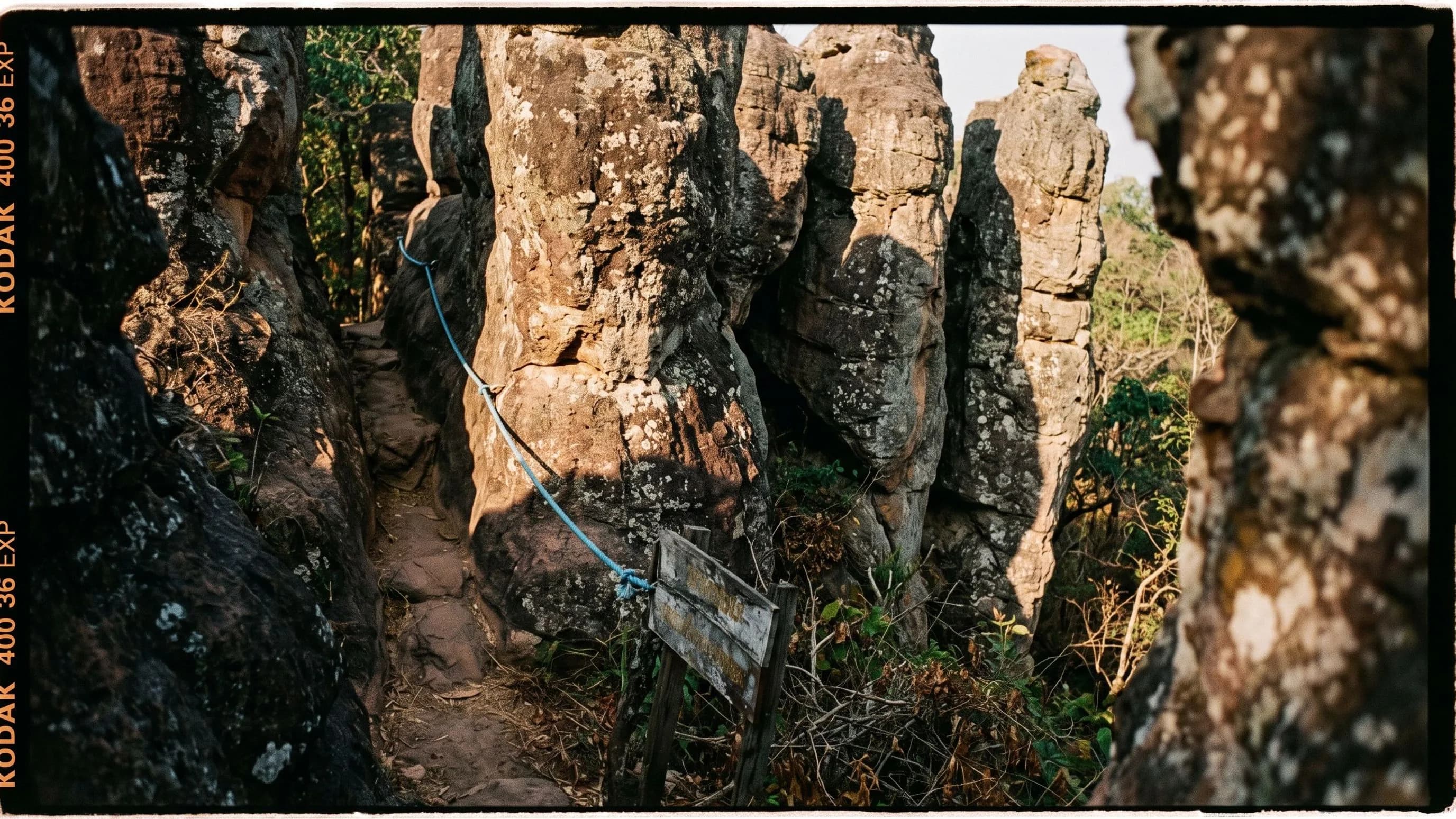 Pha Hin Tang Forest Park — park photo