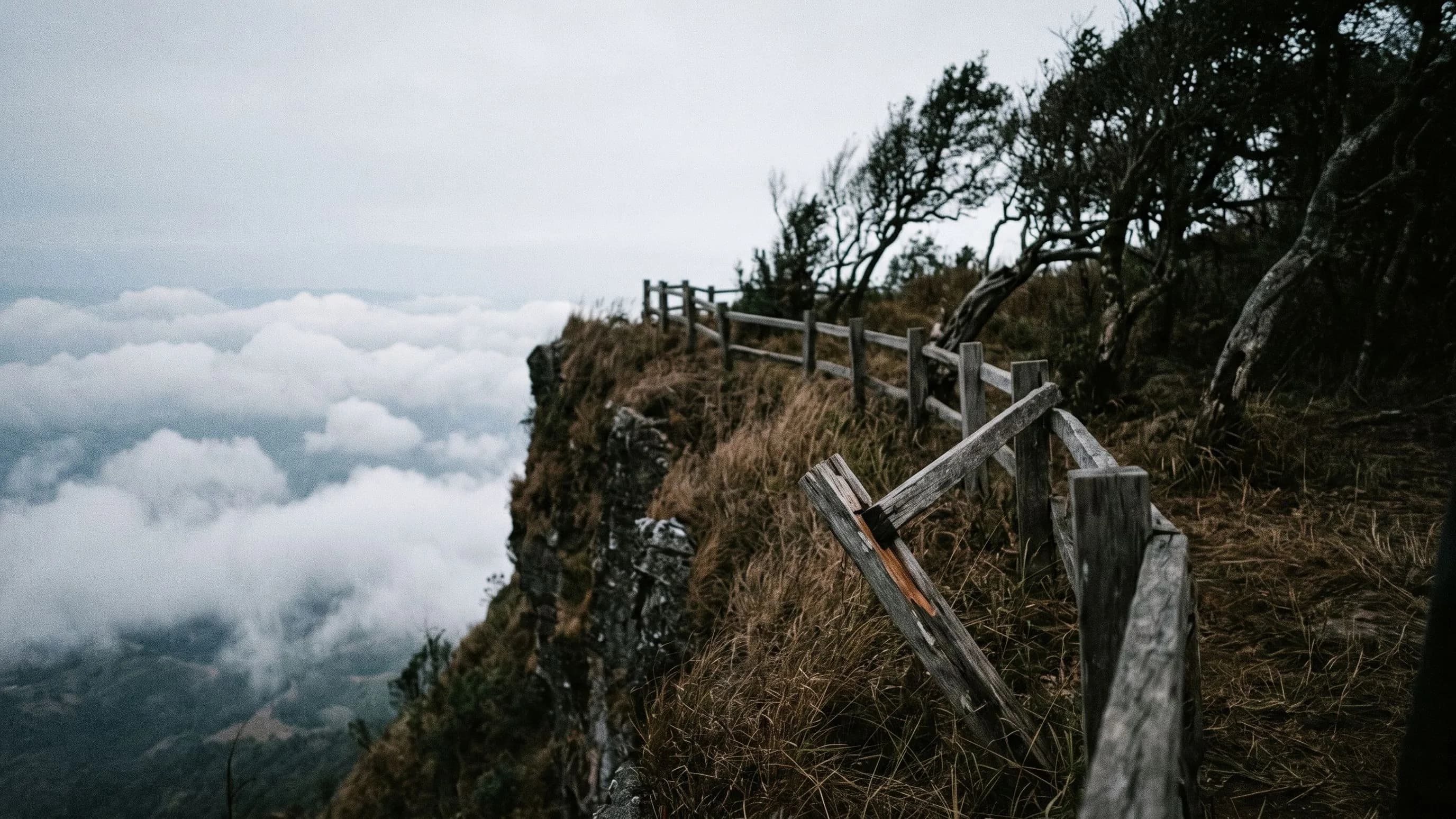 Pha Lak Muen Forest Park — park photo