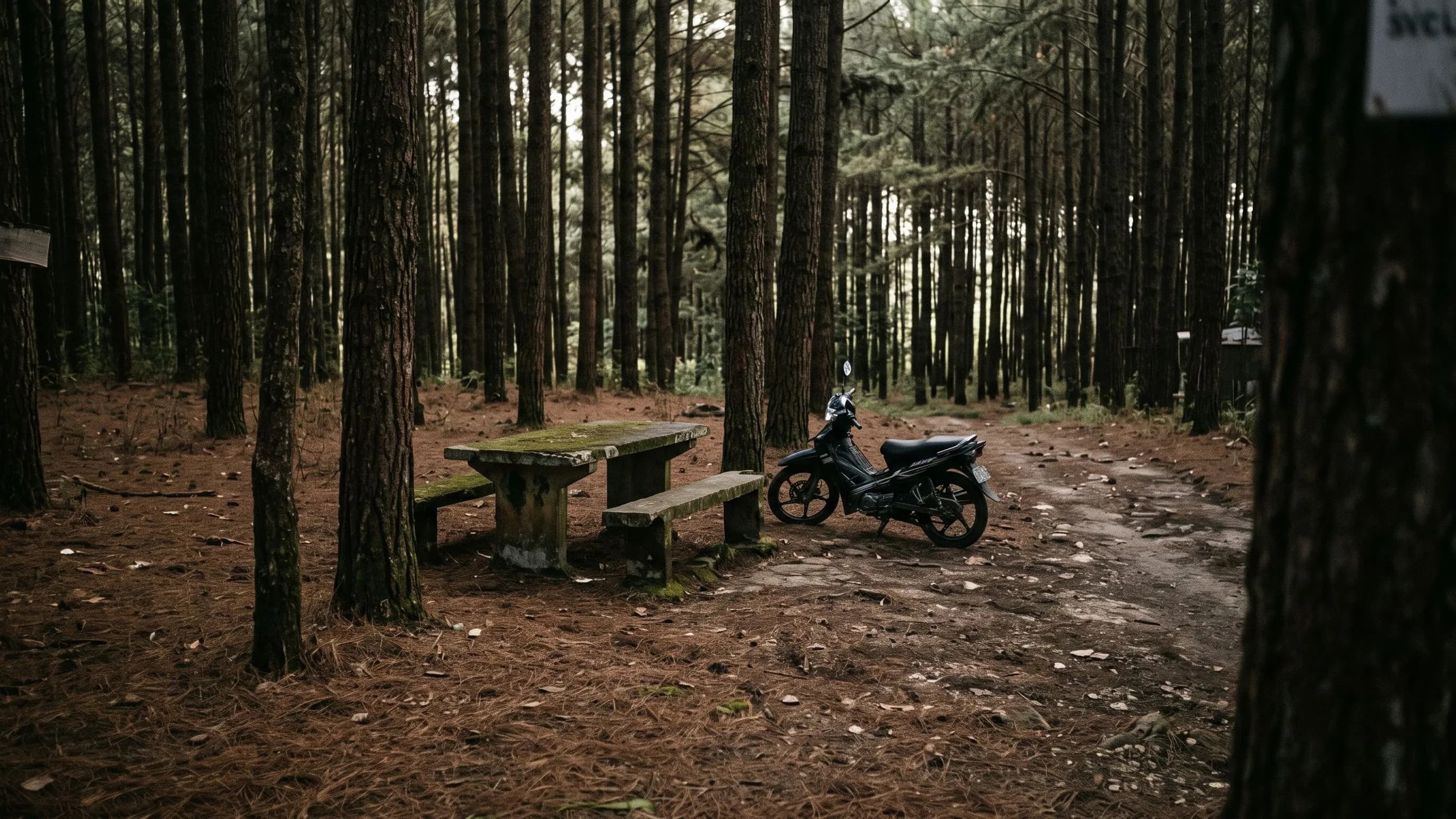 Samoeng Forest Park — park photo