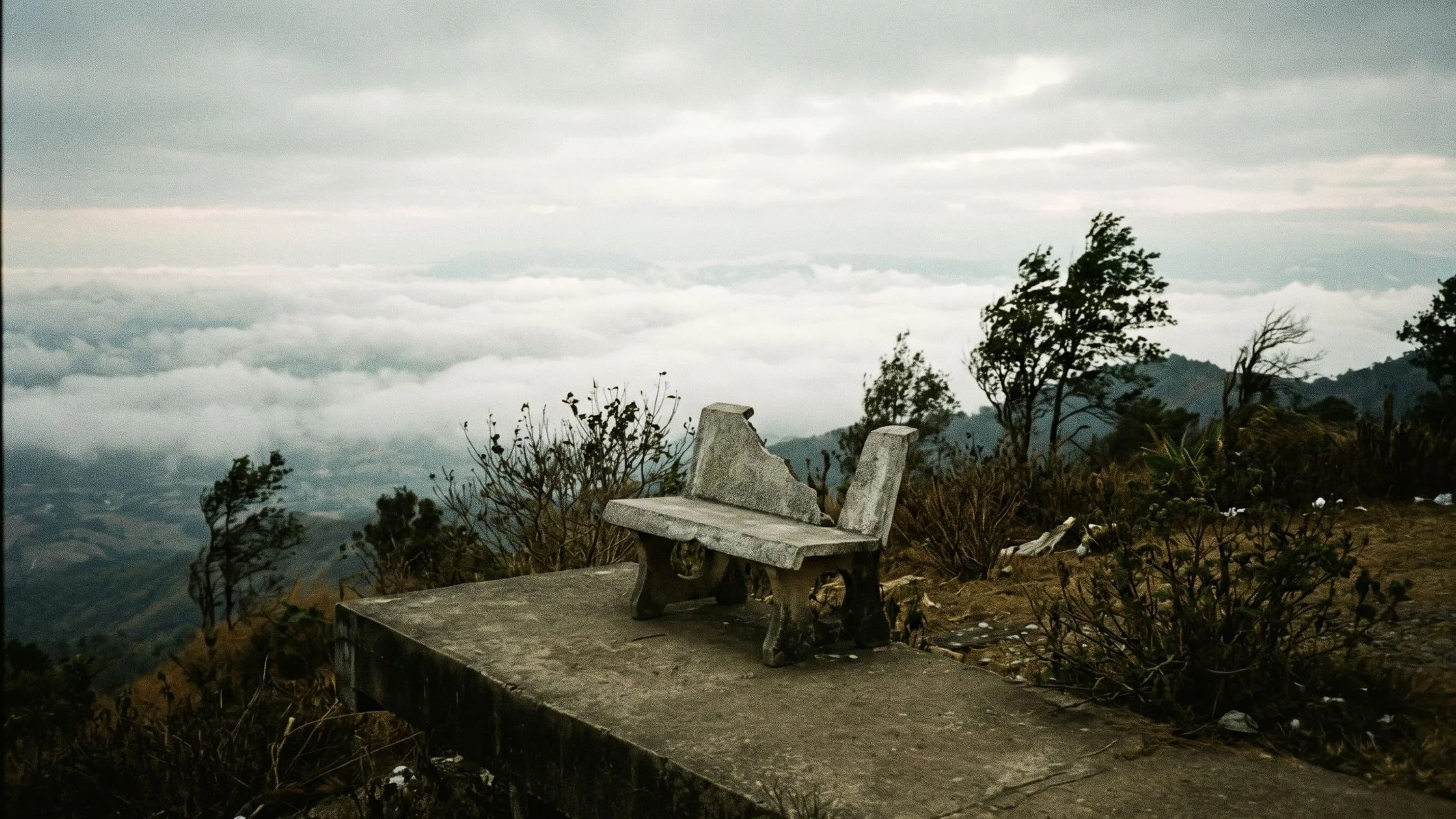 San Pha Phaya Phrai Forest Park — park photo