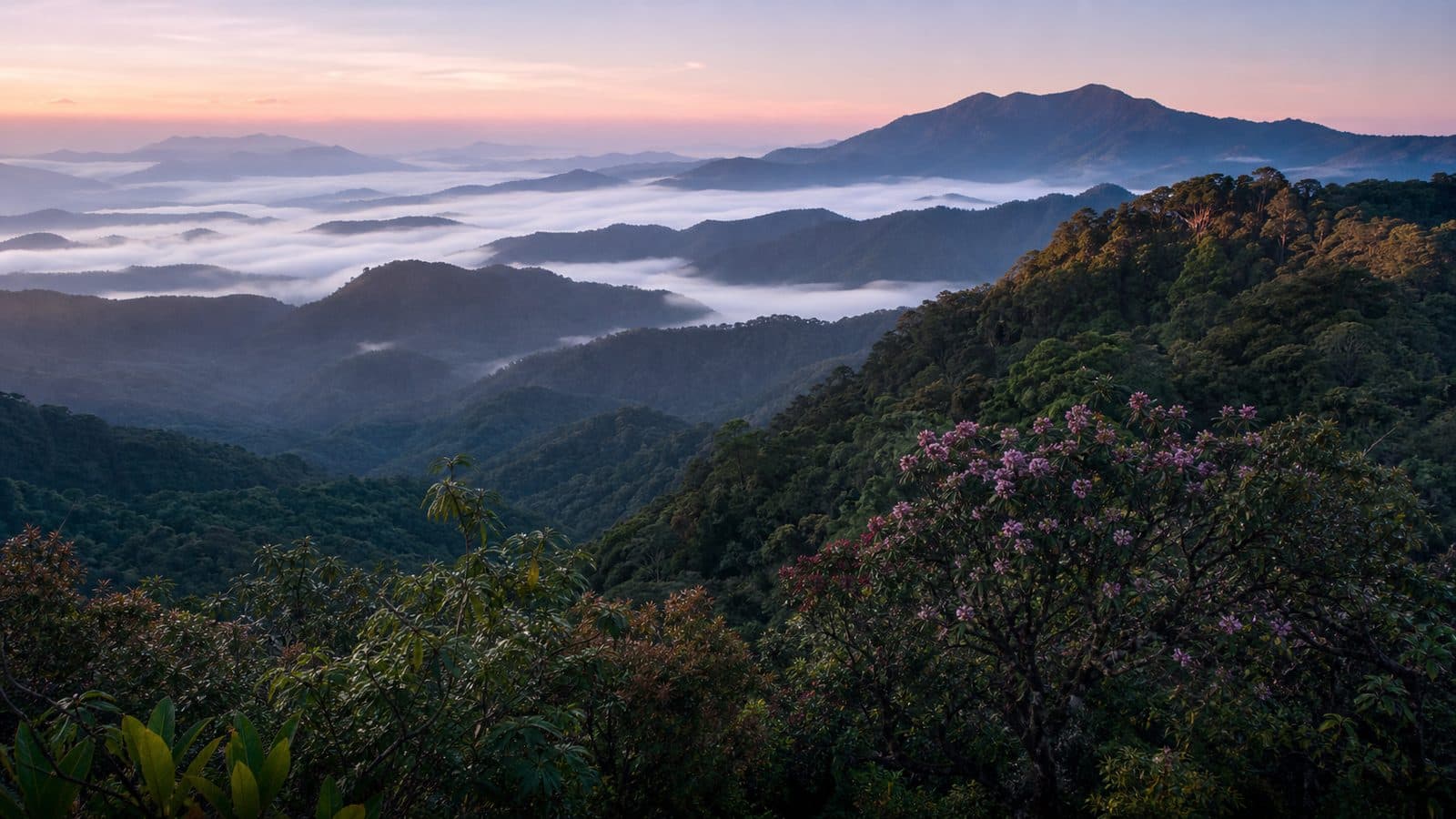 Doi Phu Kha National Park