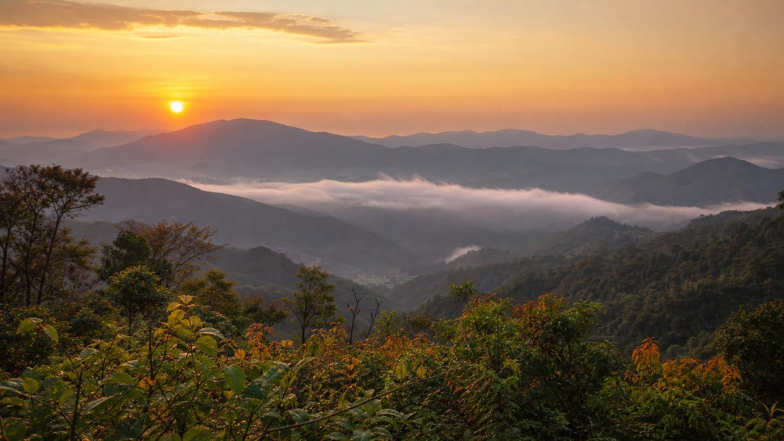 Doi Wiang La Forest Park