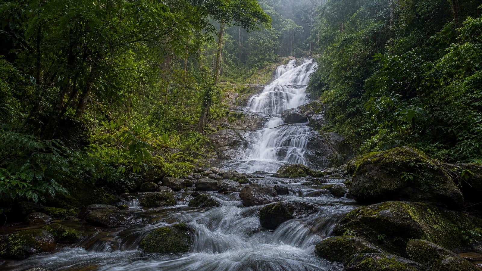Hua Mae Kham Forest Park