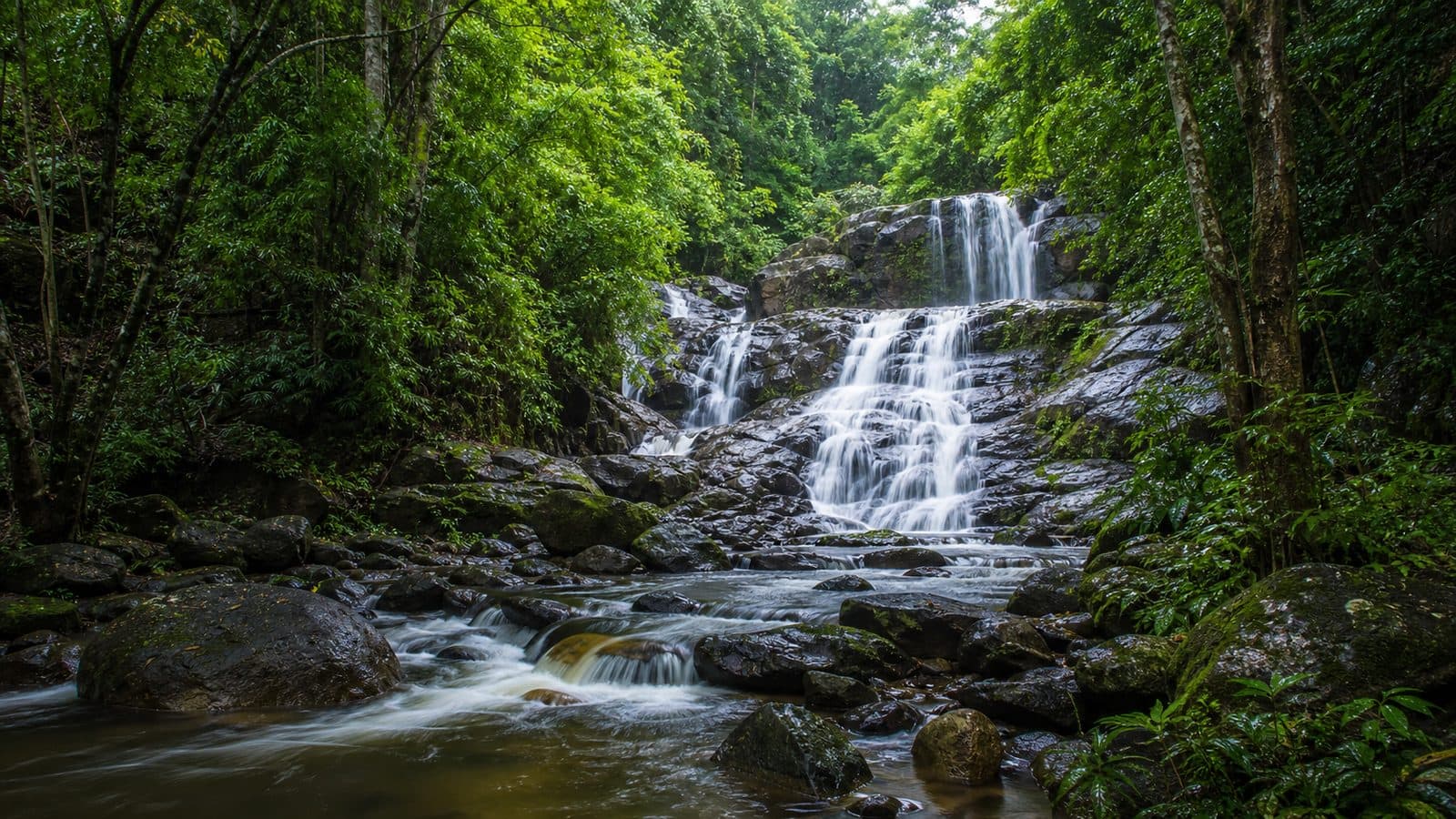 Huai Kang Pla Waterfall Forest Park
