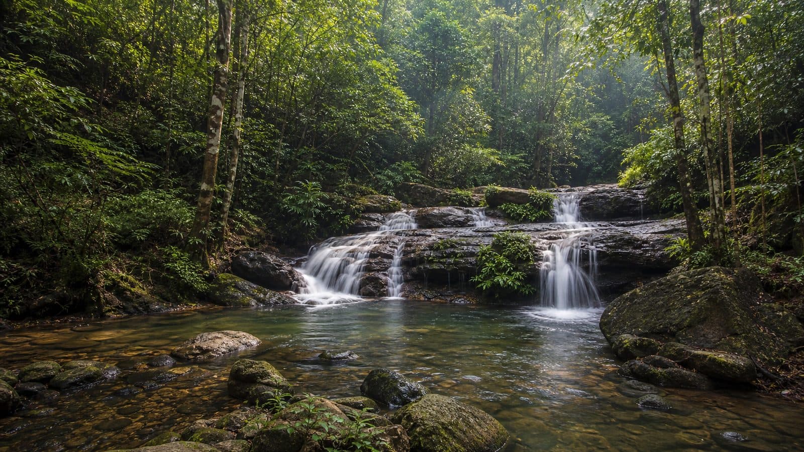 Huai Nam Chang Forest Park