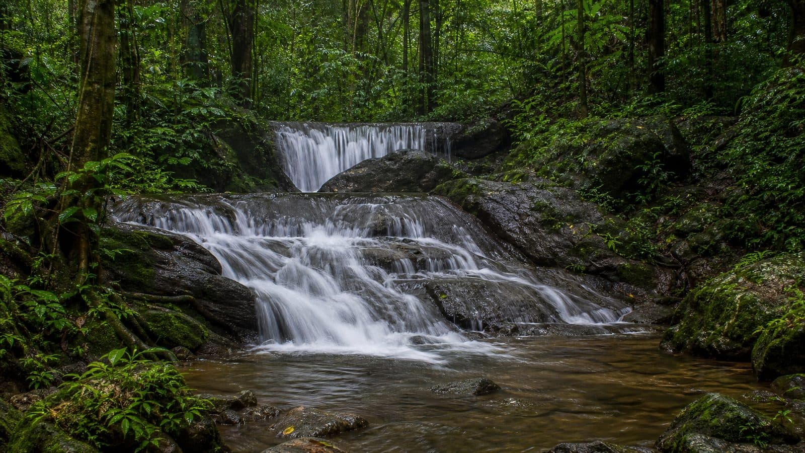 Huai Nam Un Forest Park