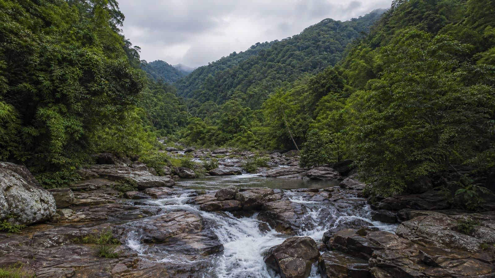 Khlong Tron National Park