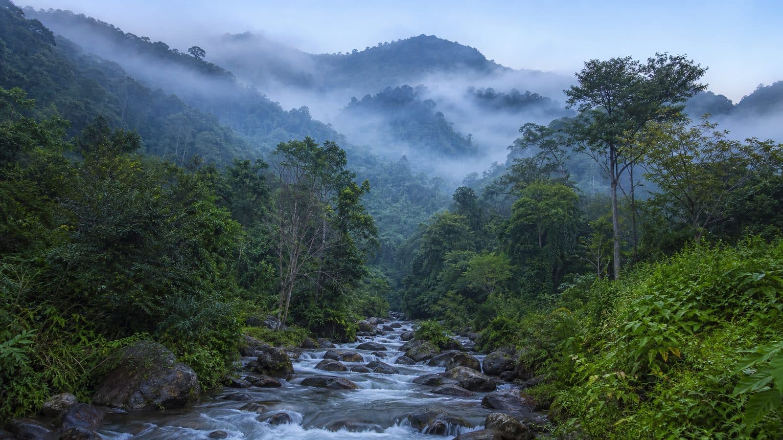 Khun Nan National Park