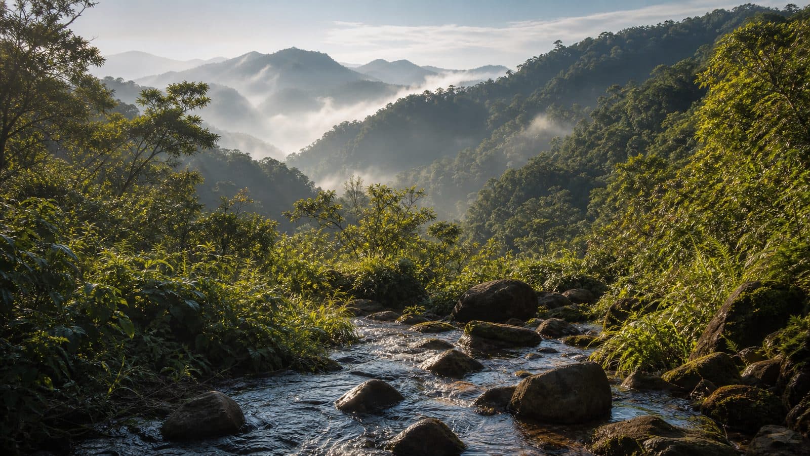 Mae Lao–Mae Sae Forest Park