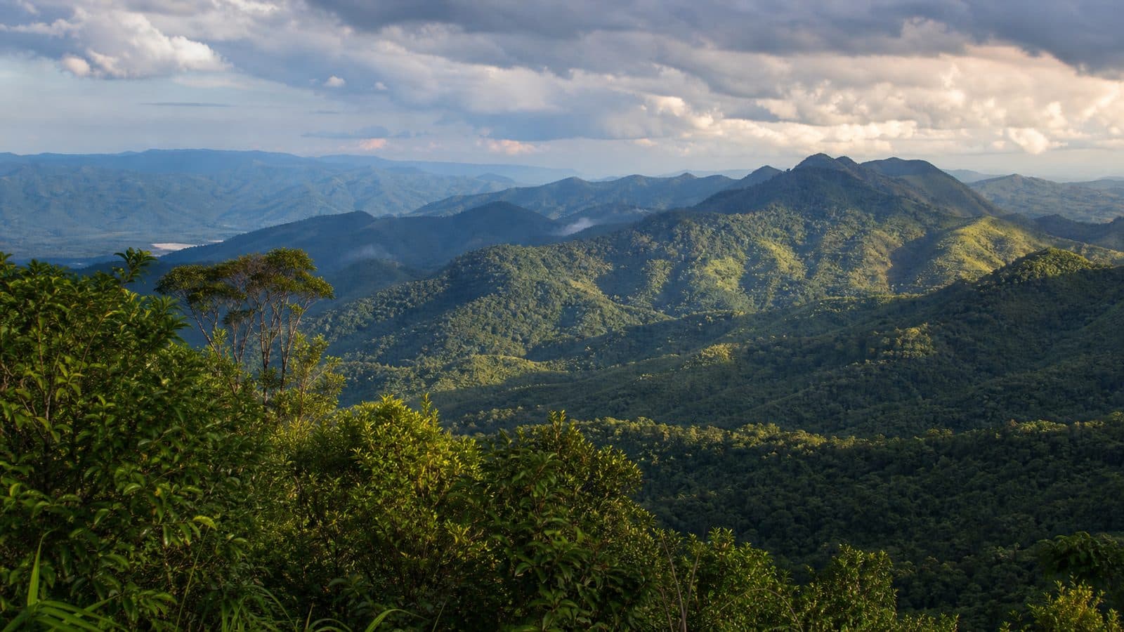 Mae Wong National Park