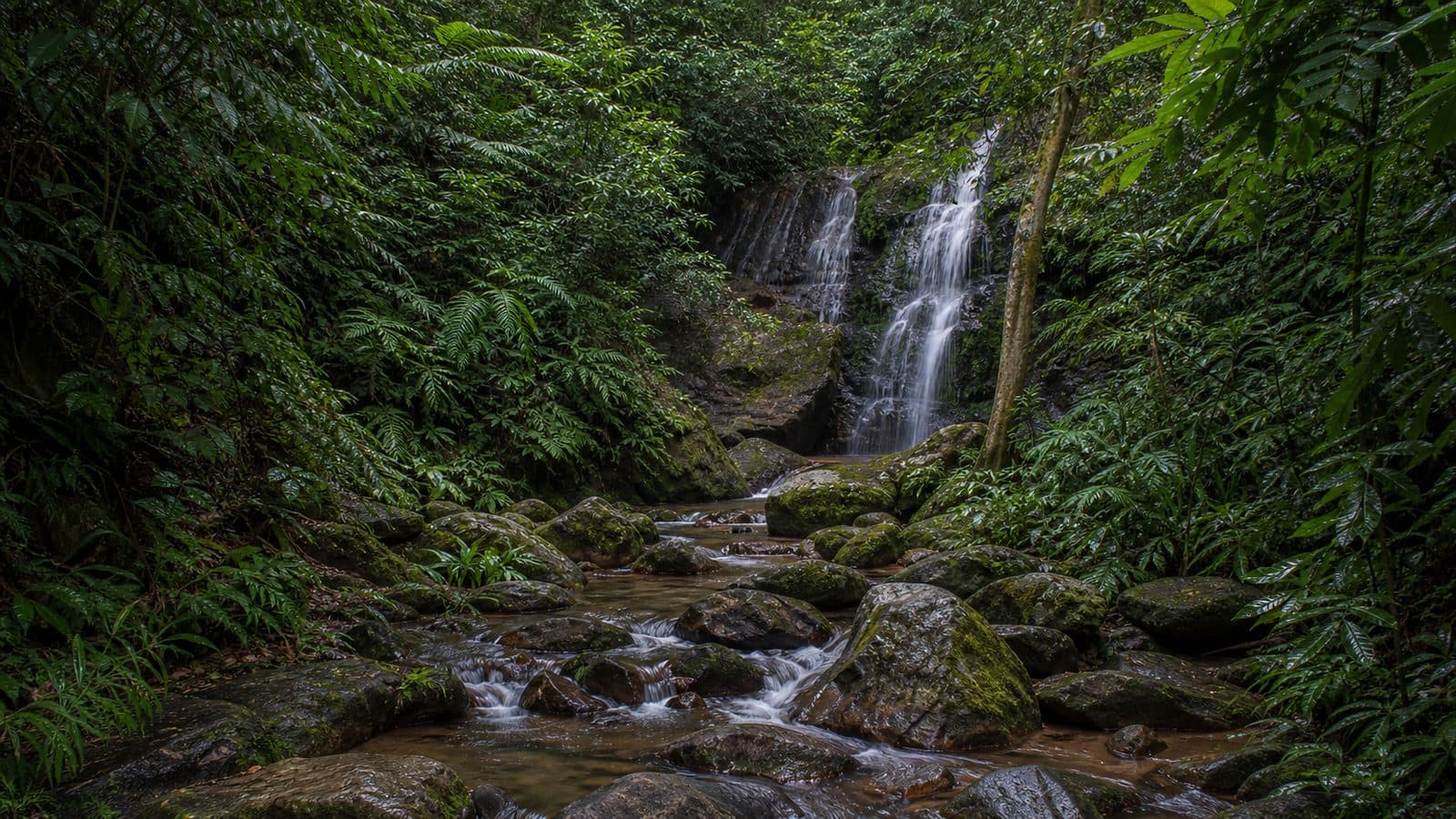 Mai Sang Nam Waterfall Forest Park