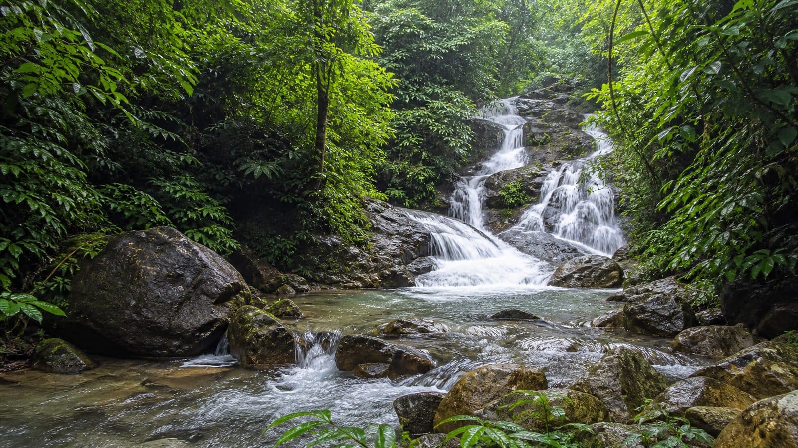 Mio Cho Tae Waterfall Forest Park
