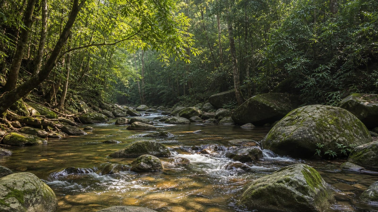Nam Min Waterfall Forest Park