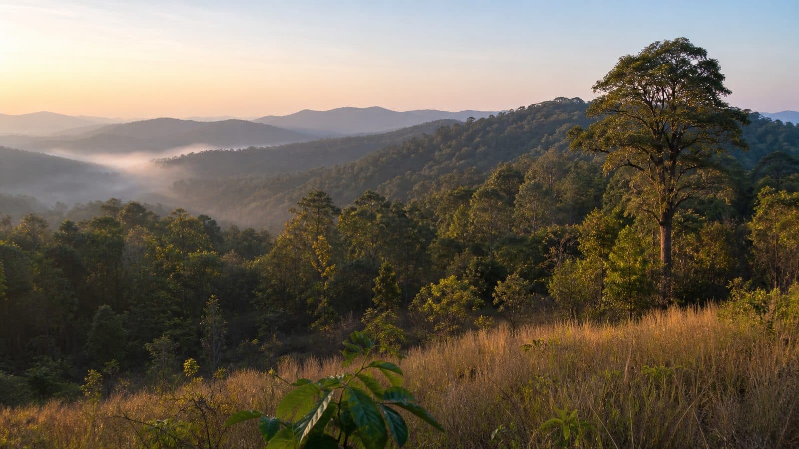 Nam Pat Wildlife Sanctuary
