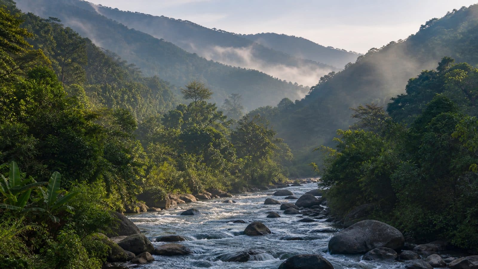 Nan River Basin Forest