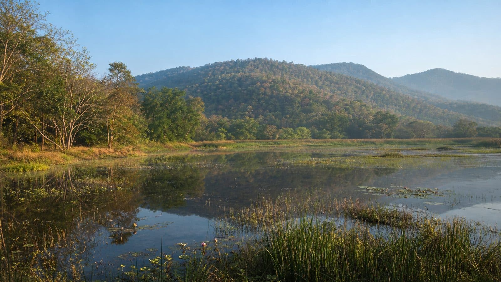 Nong Nam Khao Forest Park