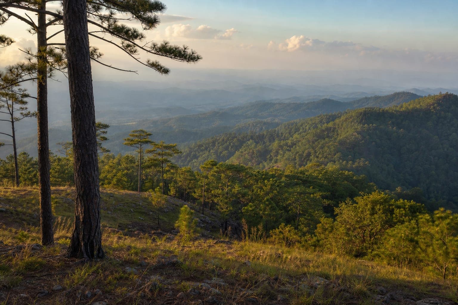 Phu Toei National Park