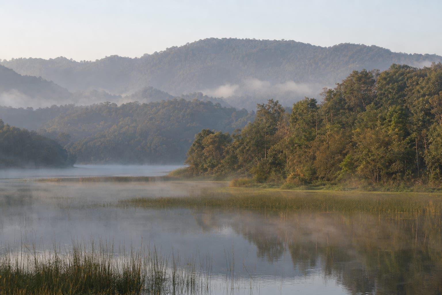 Thap Phaya Lo Forest Park